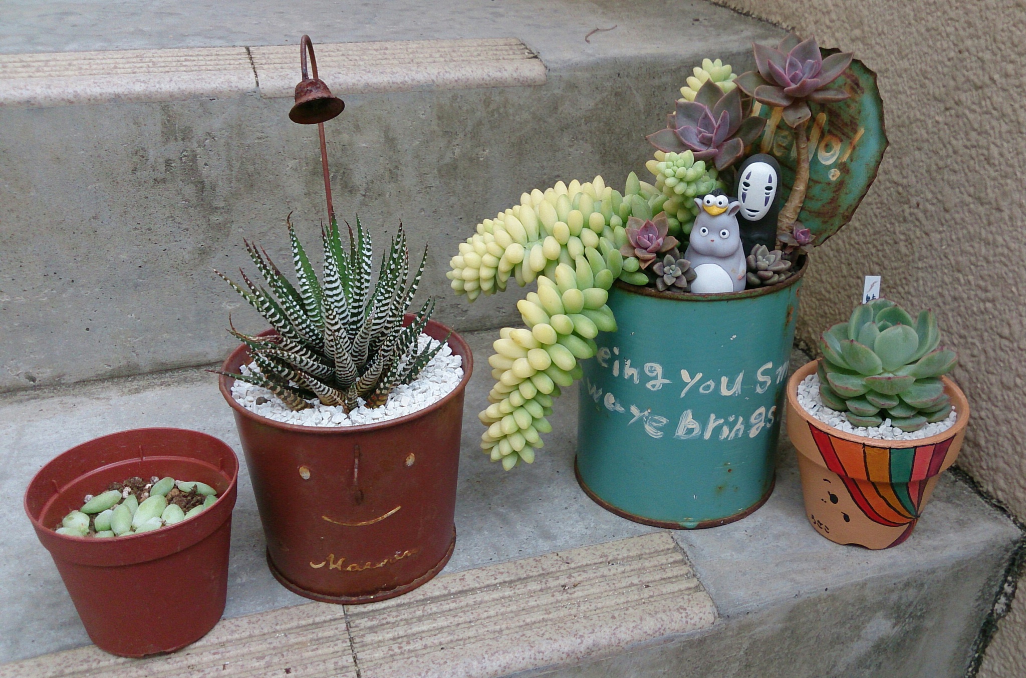 完全リニューアル寄せ植え!(^^)!