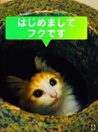 初めまして