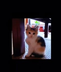 こっちへ おいでよ～
