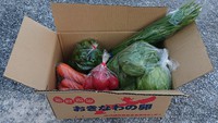 大量 野菜