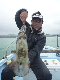 アオリ２．３キロでました。・・・が！ 2013/02/11 18:31:07