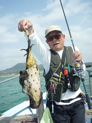エギング釣果！