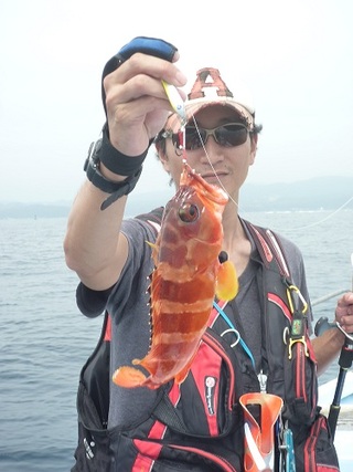 ライトルアー釣果！