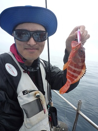 ライトルアー釣果！