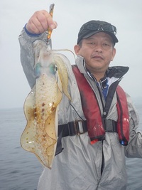 ボートエギング釣果！ 2013/03/29 14:28:49
