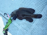 大撃沈な１週間でした。・・・（泣）！ 2013/03/12 08:38:26