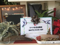 ありがとうございます(*^▽^*)