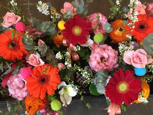 新年度のお花