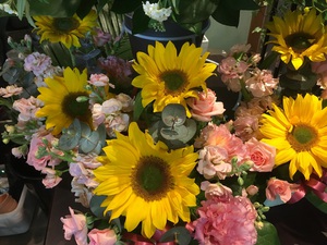 新年度のお花