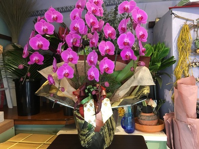 gorgeous!!