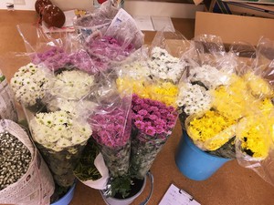 切り花納品