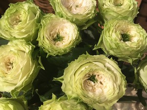 開店祝いの花