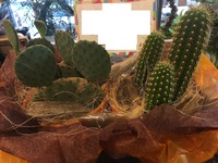 花笠アレンジ