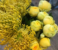 秋から冬への、イイ～感じの花が入荷