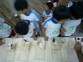 幼稚園　くわがた虫博士