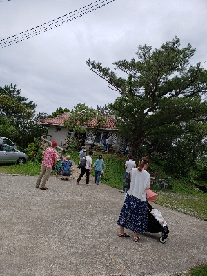 咲きました！