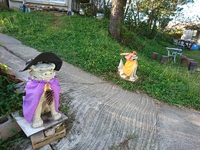 肌寒くなってきました。秋到来かな？ 2018/10/09 22:38:00
