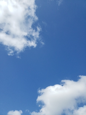 無事に攻めたき終わりましたよー。