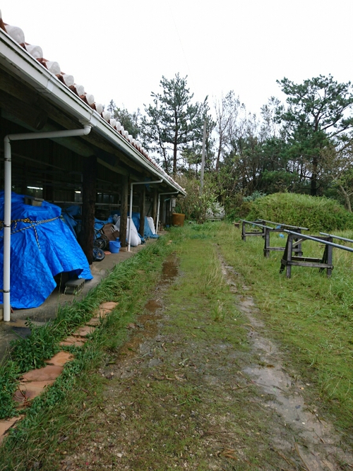 台風がまたまた通り過ぎましたー(涙)