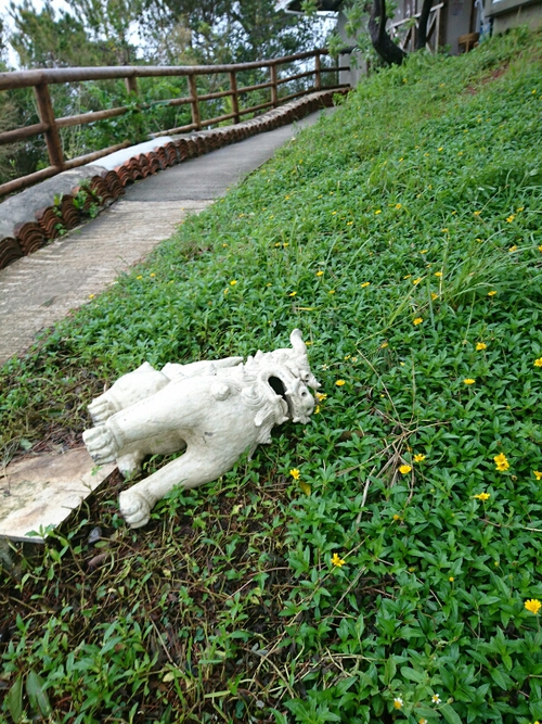 台風がまたまた通り過ぎましたー(涙)