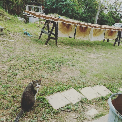 宇宙との交信?