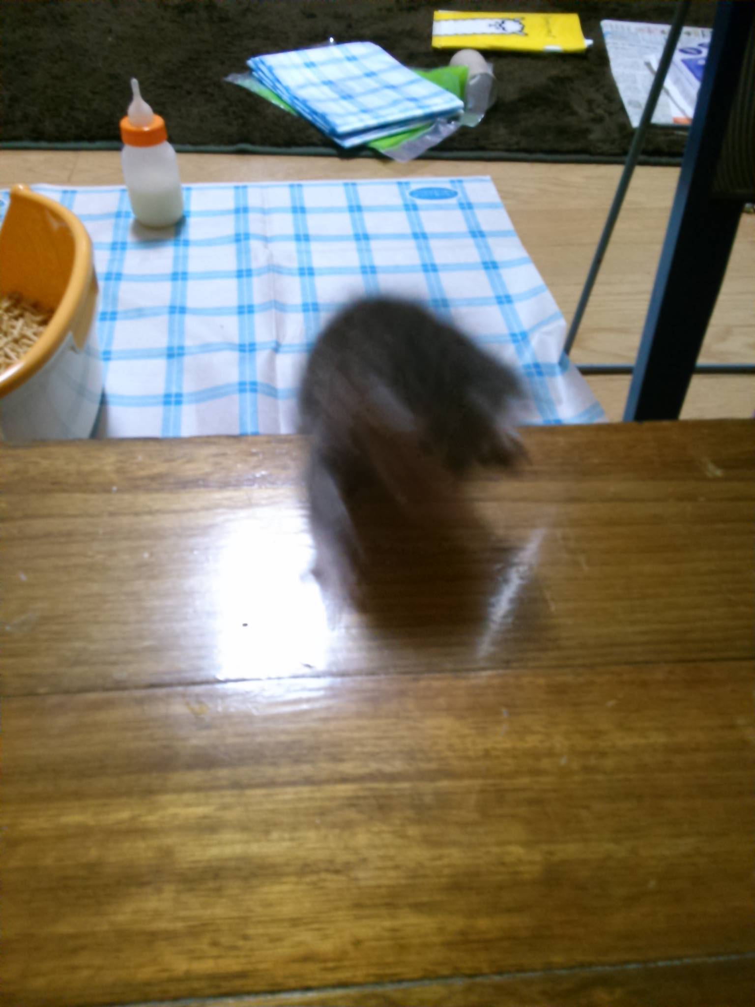 毎日寝不足です…