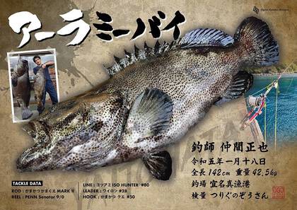 クエ 魚拓 細長