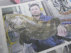 神谷高志さん西崎海岸☆良い型ミーバイ７３㎝・５．６㎏Up(^O^)