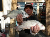 大嶺さん西崎一文字・ナベ堤フカセ釣果です(^O^)V