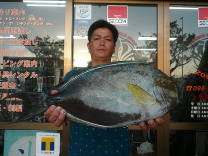 金城義則さん渡嘉敷島遠征 大型トカジャーの釣果です O つりぐのぞうさん
