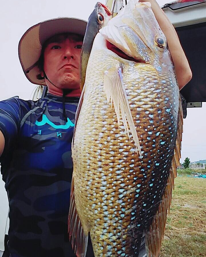 ヨウスケ釣り目線 タマン ルアー
