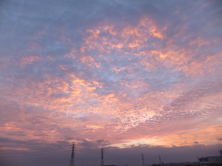 鱗雲の朝焼け 雲の流れ