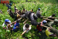 ある写真 2010/07/02 05:07:00