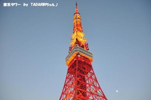 クリスマスライトダウン伝説