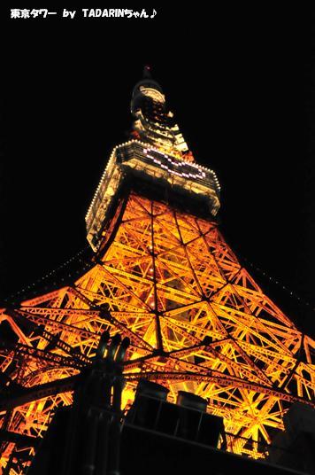 クリスマスライトダウン伝説
