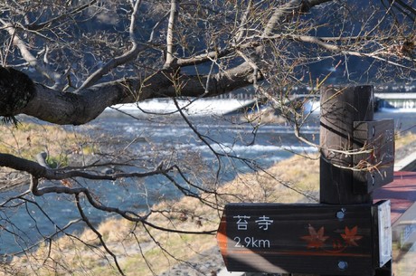 京都　嵐山～北野白梅町