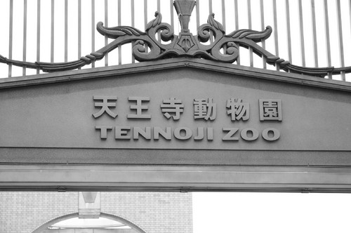 TADARIN動物園