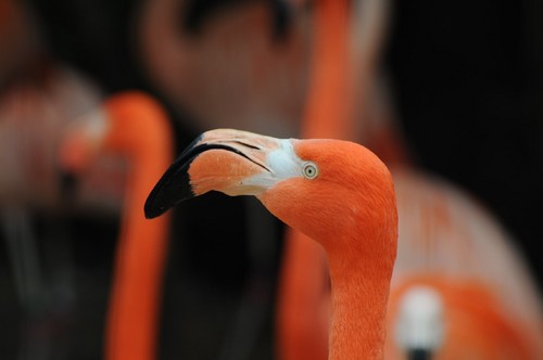 TADARIN動物園