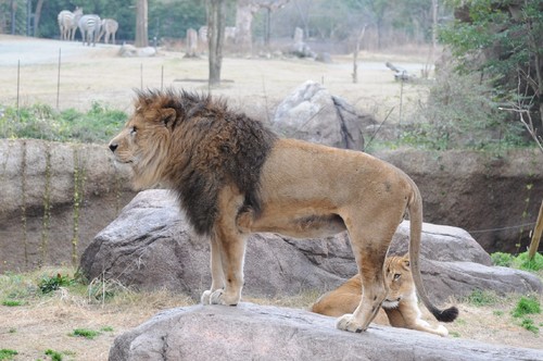 TADARIN動物園