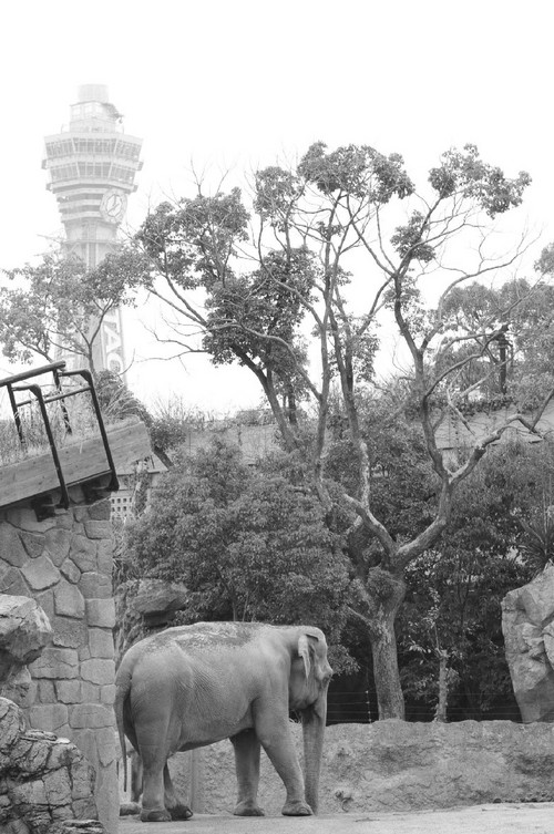 TADARIN動物園