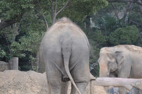 TADARIN動物園