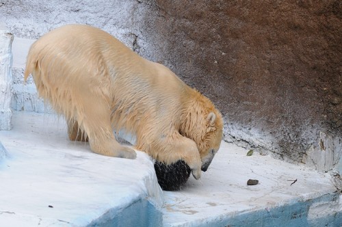 TADARIN動物園