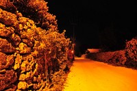 竹富島で会いましょう 2009/03/30 05:02:00