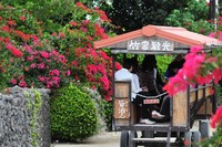 感謝 2009/04/01 00:01:00