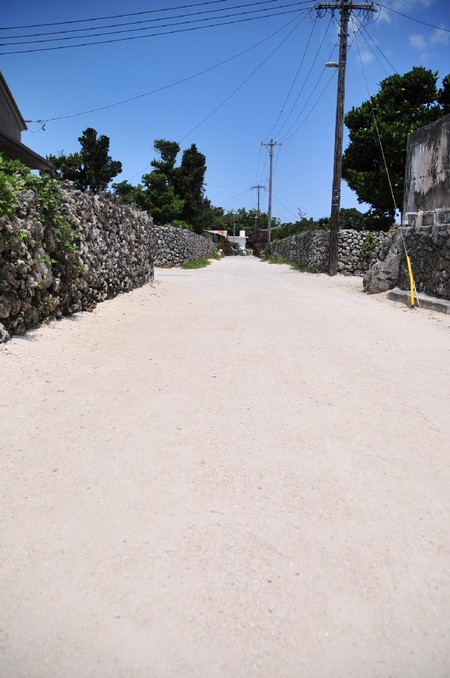 竹富島と私