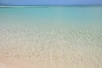 信じる事 2009/05/12 05:01:00