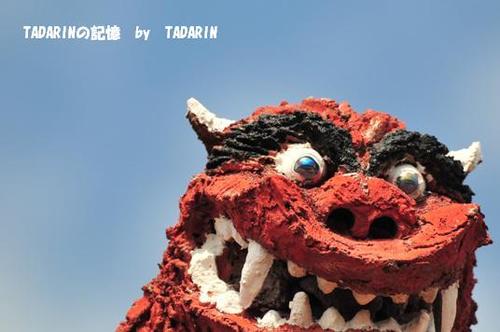 大顔連