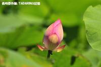 長崎番外編 2010/07/30 05:07:00