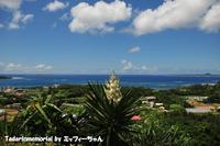 友あっての自分 2010/09/27 05:16:00