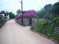 八重山病治療